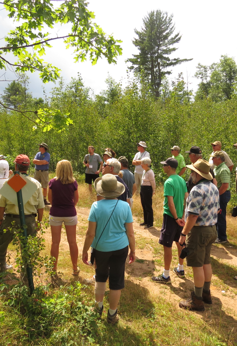 Image of group of people on a tour in young forest habitat