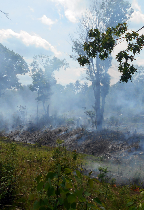 Prescribed burn on Frohloff Farm