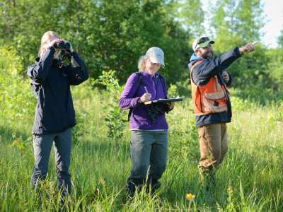 image of biologists looking for golden-winged warblers in shrubland habitat